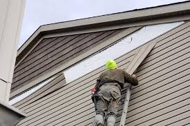 Best Custom Siding Design  in Manistique, MI